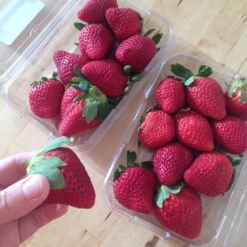image fraises (strawberries)